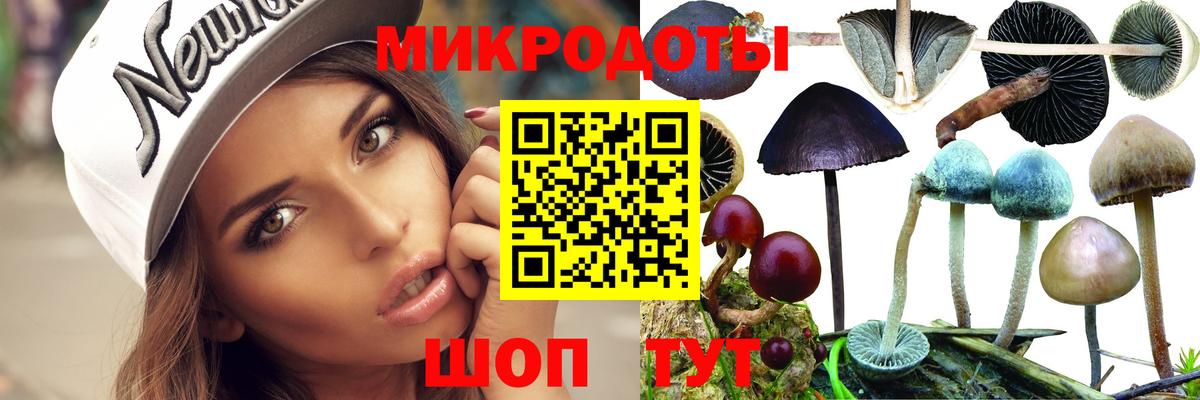 Псилоцибиновые грибы Psilocybine cubensis  Галлюциногенные грибы Psilocybine cubensis  Амурск  Вход с VPN 